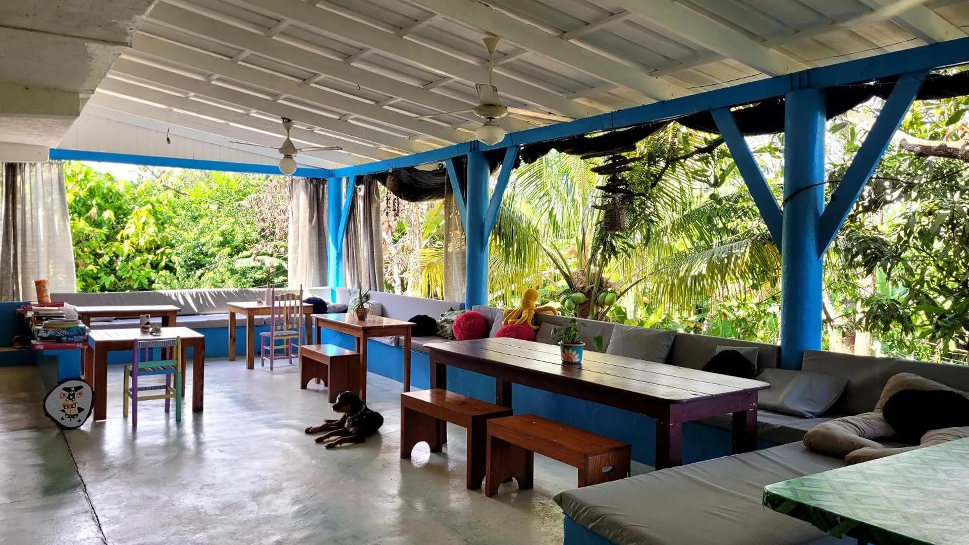 Hostel 23 Las Terrenas 0*,