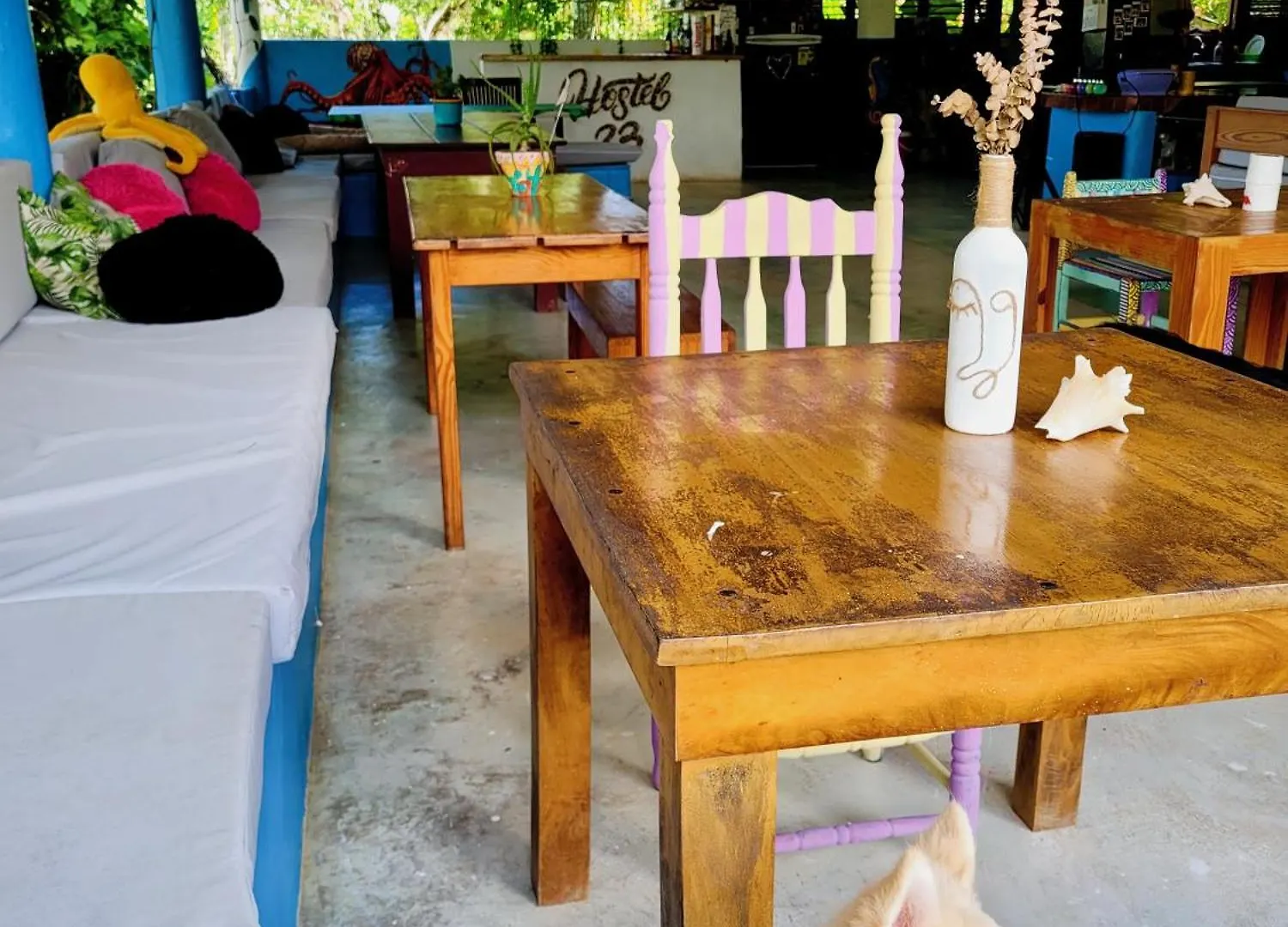 Hostel 23 Las Terrenas